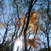 IMG-20221127-095712
