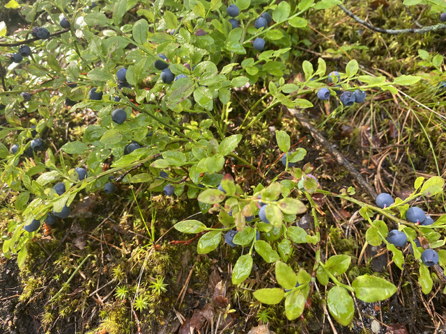 7545-D90-D-339-D-495-A-A946-9869-C910502