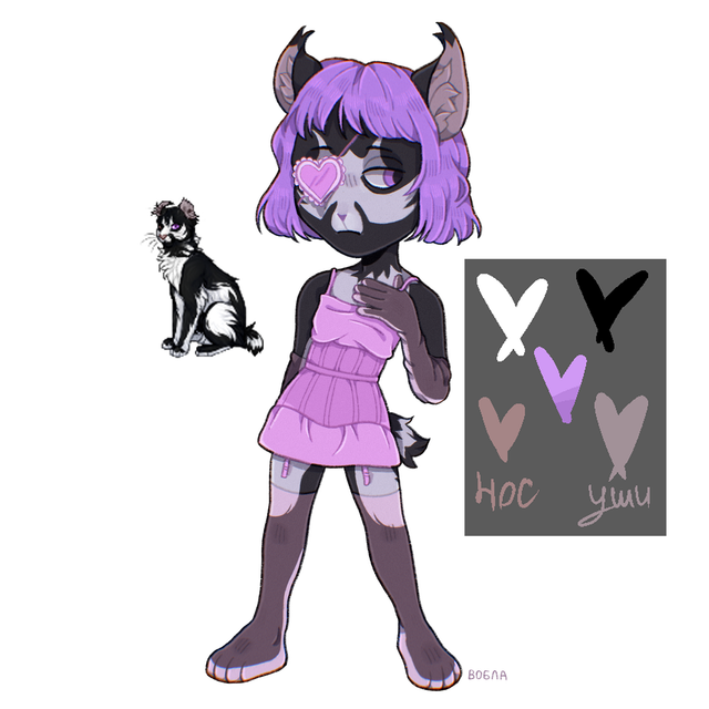 IMG-6464t.png