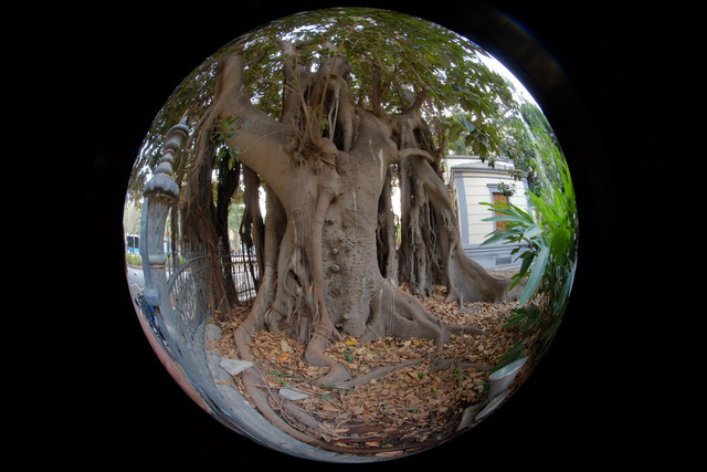 DSCF8976.jpg