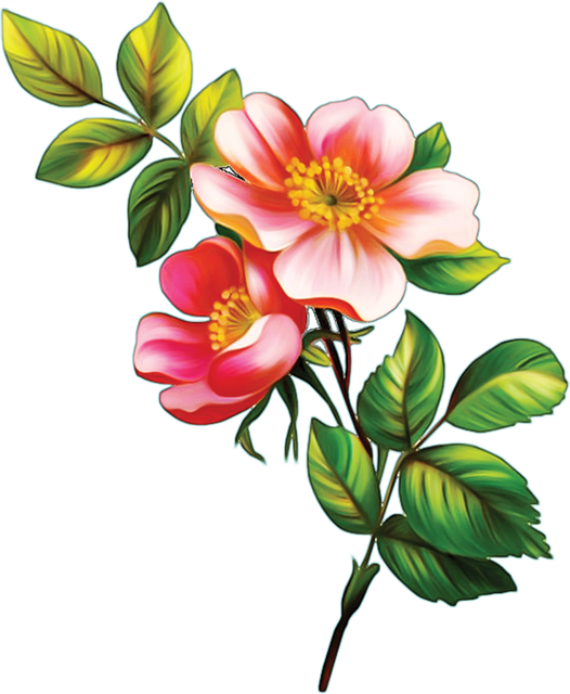 Layer 36 (1).png