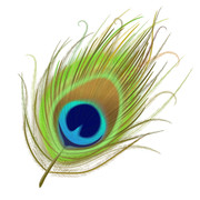 shutterstock 1921671350