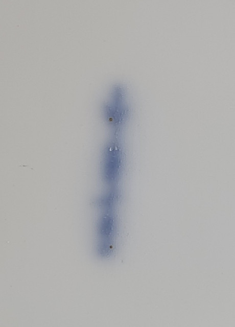 20251202-115704.jpg