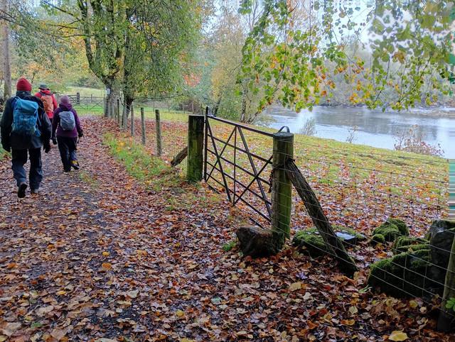 A Llanwrthwl.jpg