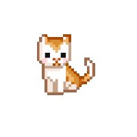 gatito