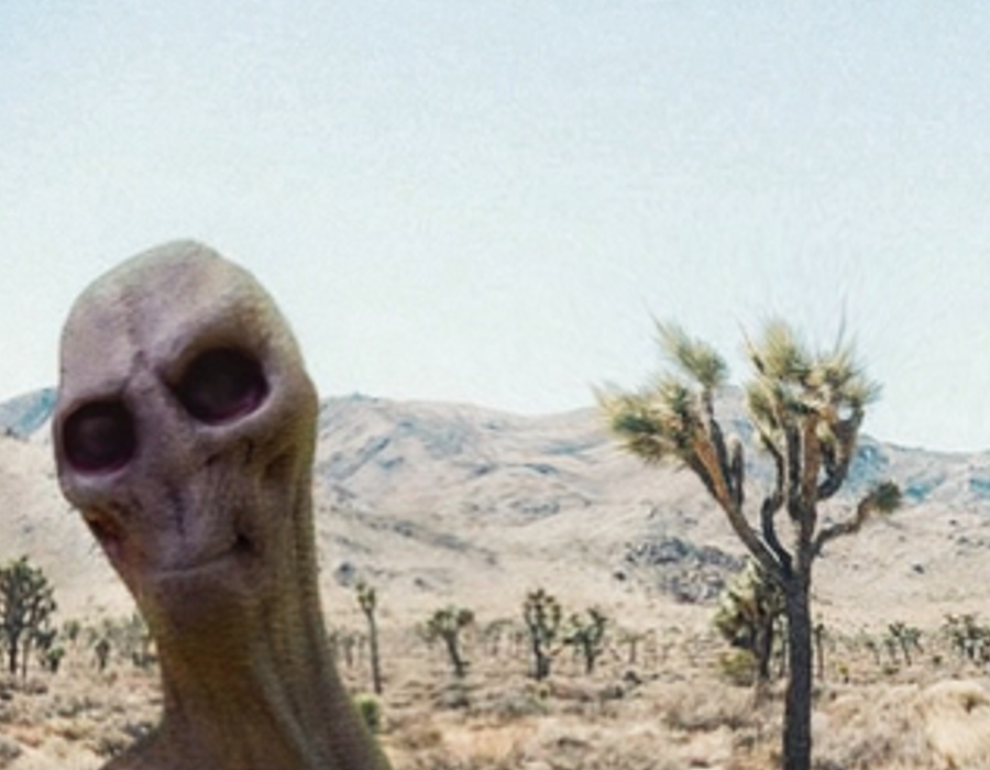 IMG-3407.png