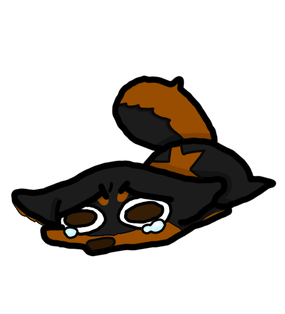 IMG 0211.png
