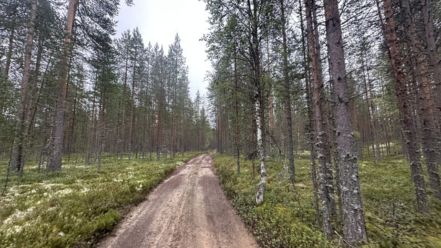 IMG 4658.jpg