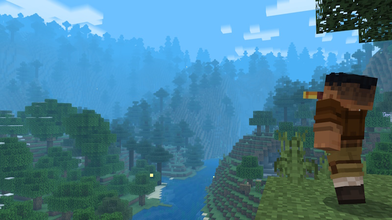 Image 11