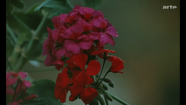 Movie cover image