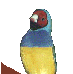 3KCXZZIHSDDFP4EJQ35XUSJSJ3RZS2ND