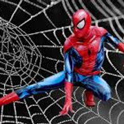 SPIDERMAN (3)