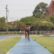 IMG-0369