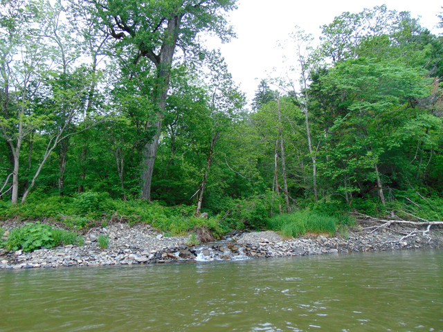 DSC05890.jpg