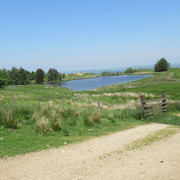 I Shakey Bridge