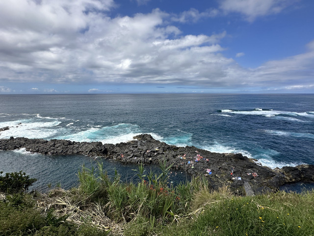 IMG-3708