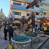 Δεντρο πλατεια Λαου024