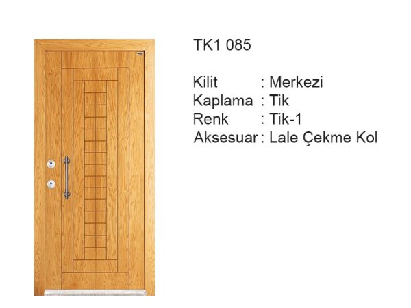 Steel door TK1 085