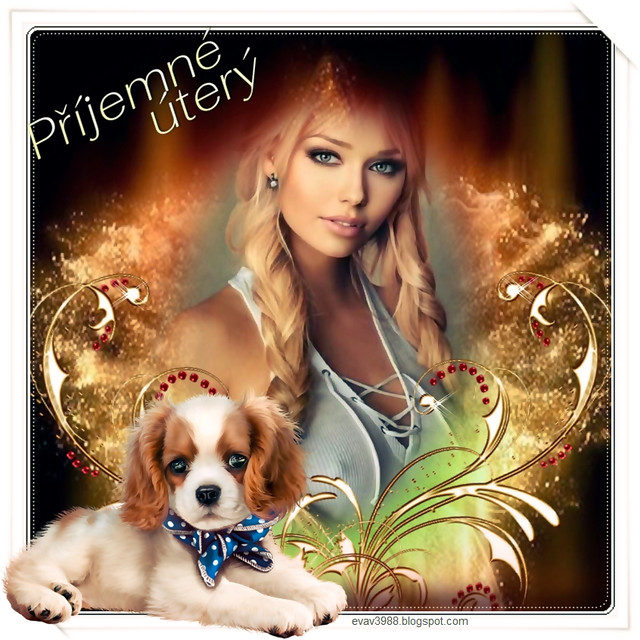 P-JEMN-TER
