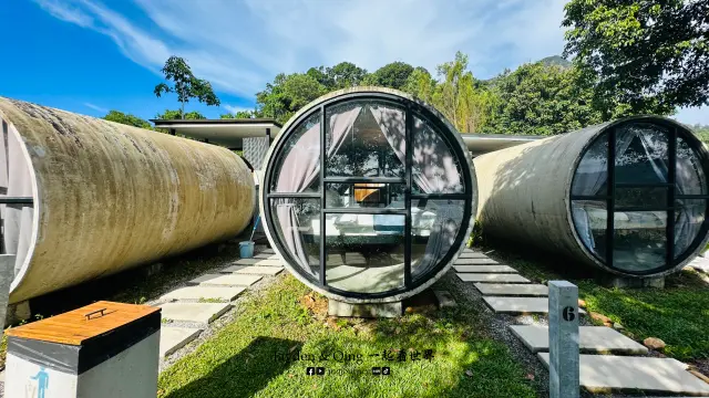 The Culvert10.webp