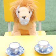 IMG-7866