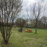 IMG-8781