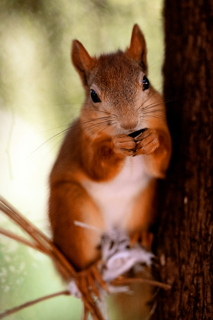 A55I0659