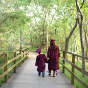 IMG-9971