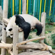 Zoo Negara1