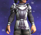 Unicorn Knight Plate.png
