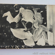 IMG-0291
