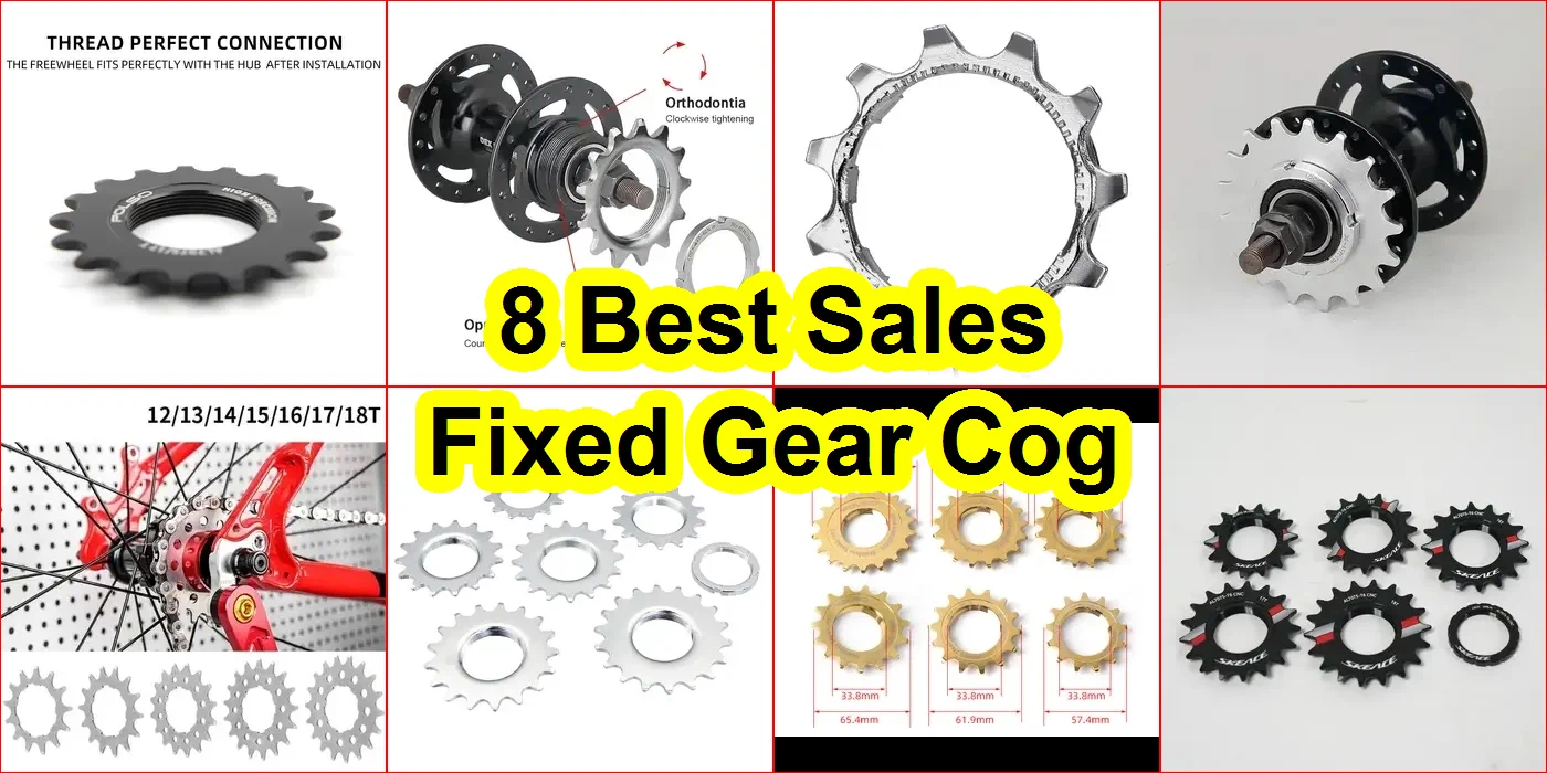 固定齒輪 評價