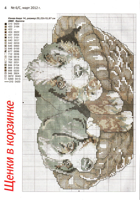 scan-4