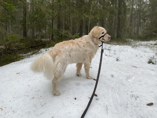 DE6081-DF-57-AA-4-BB6-BCC1-43-FEFC0-C610