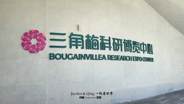 三角梅科博园5.webp