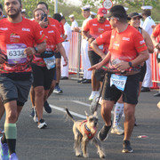 IMG-0253