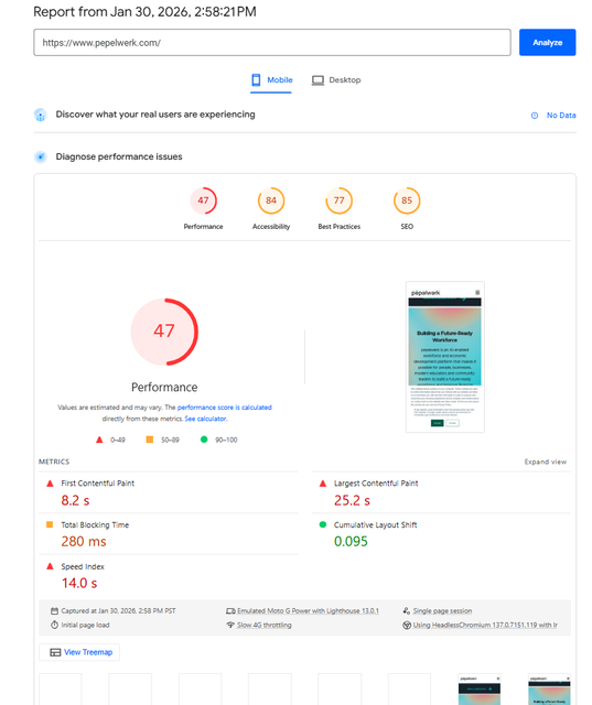 PageSpeed showing 47 performance score