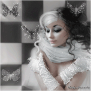 13.gif