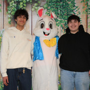 Bunny2026 8
