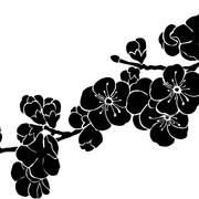 shutterstock 51353785