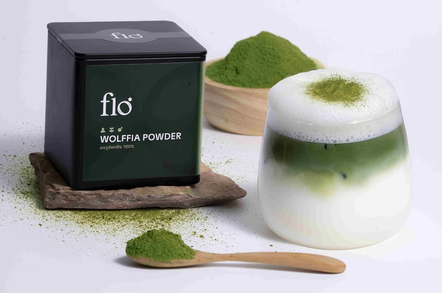 Flo Wolffia