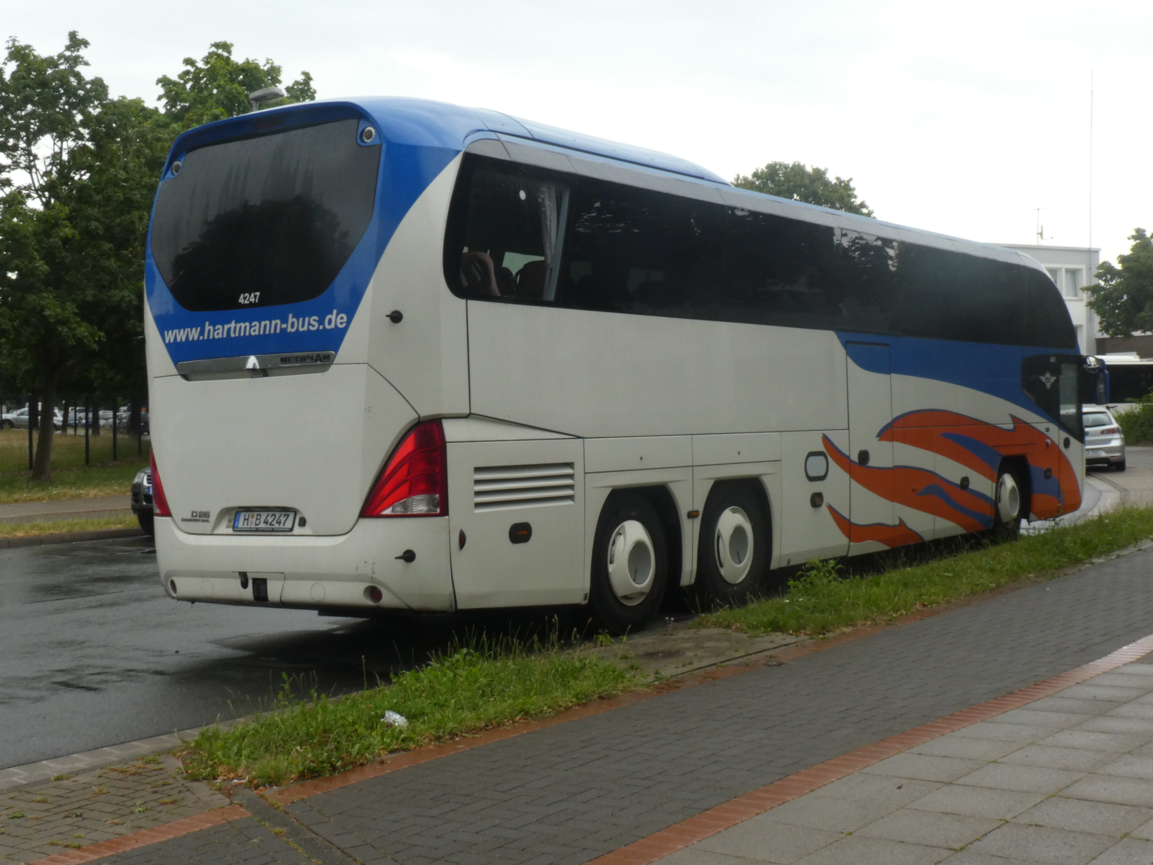 i.ibb.co/3msQKXB0/Hartmann-4247-3.jpg