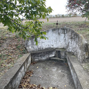 IMG 0382