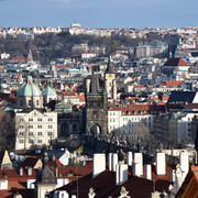 DSC 2442