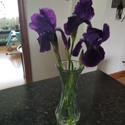 20190404 105655