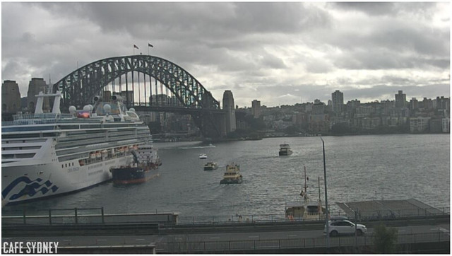 cafesyd-webcam19082024