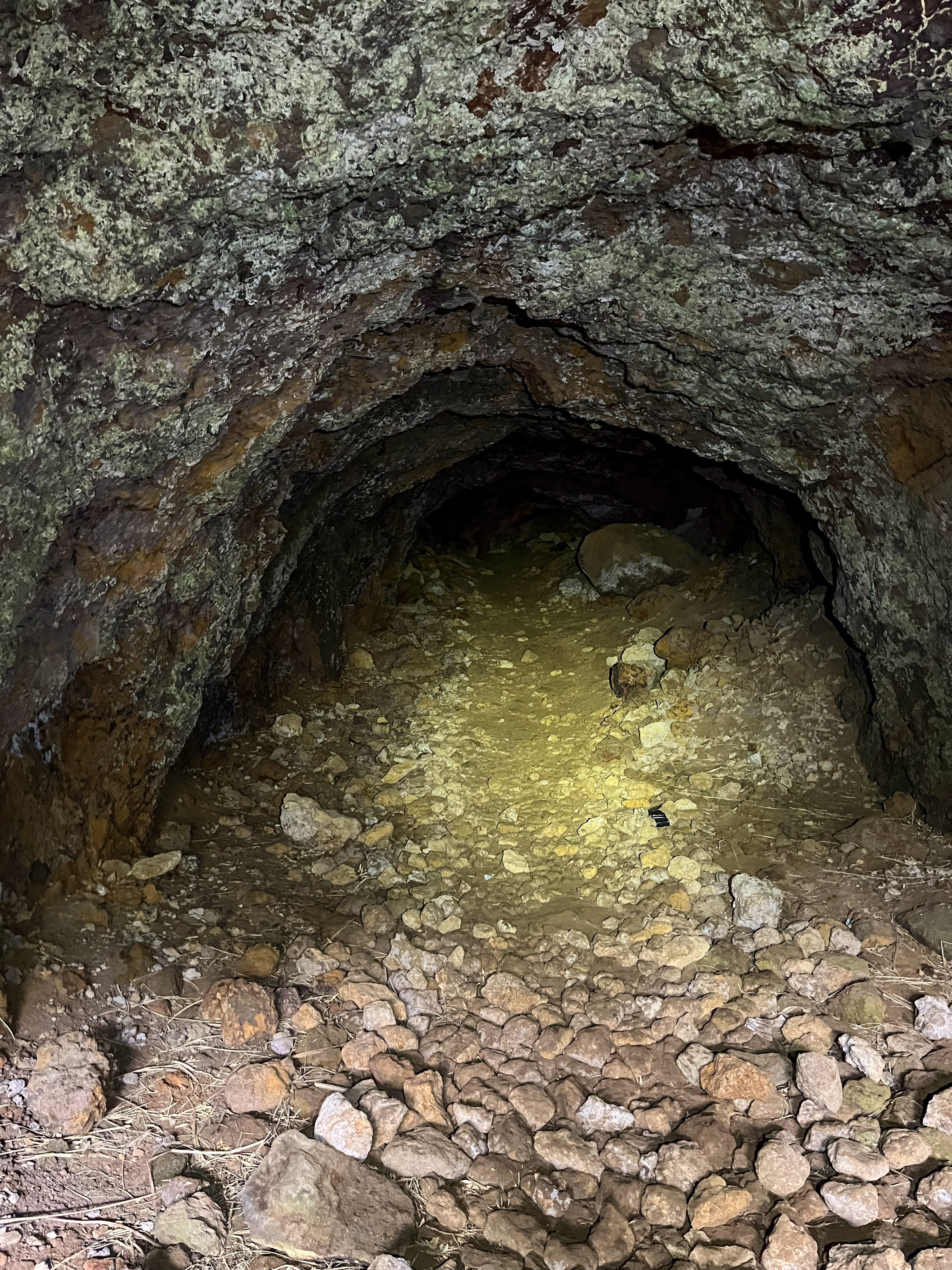 Сахалин, часть 3. Итуруп. Начало 20240823-IMG-6666