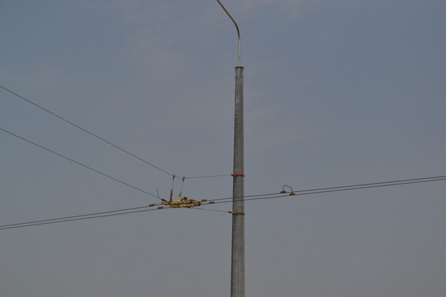 DSC-0003
