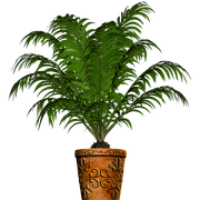 fsZBcp1