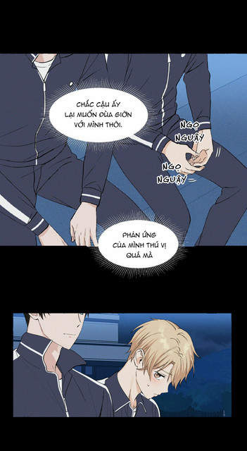 003.jpg